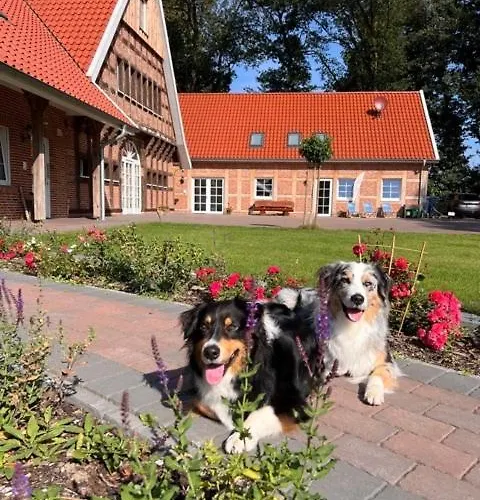 公寓 Tenne Menslage